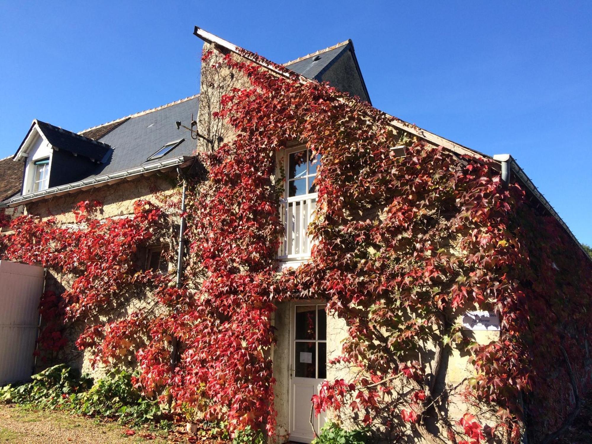 Chambres d'hôtes La Ferme du Grand Launay Semblançay Exterior foto